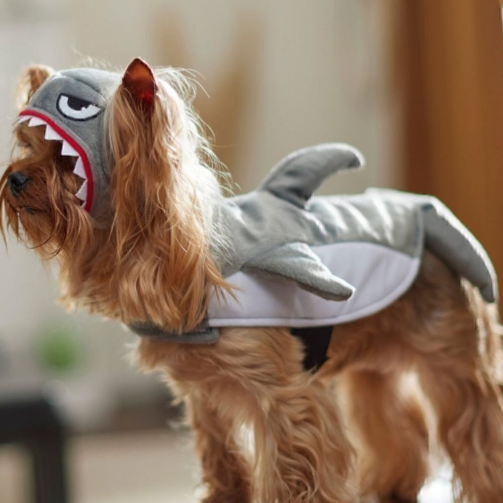 Pet Shark Costume. Size Medium. EUC